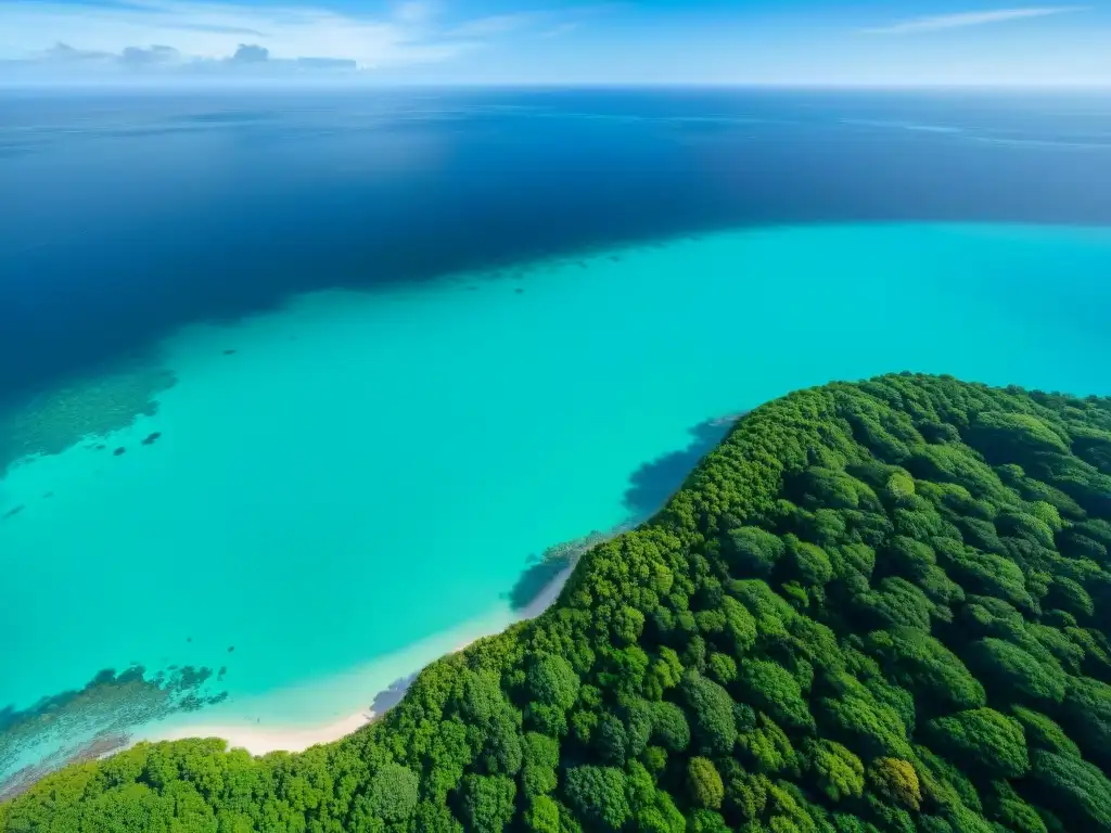 Costa tropical: armonía natural y turismo sostenible Costa con certificaciones turismo sostenible: aguas turquesas, bosques verdes, arrecife vibrante