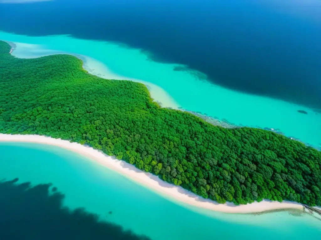 Paraíso costero: belleza y diversidad marina Un ecosistema costero vibrante con playa prístina, aguas turquesas, manglares y vida marina diversa
