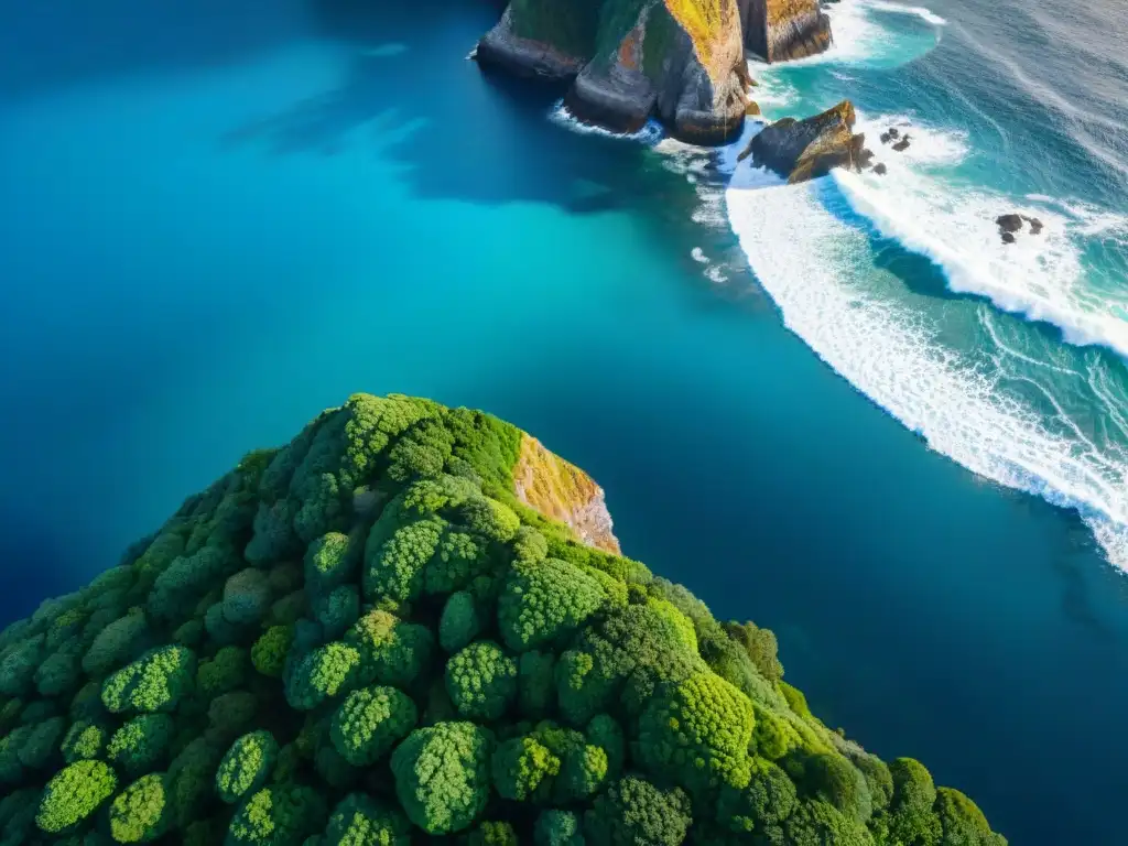 Costa salvaje: majestuosos acantilados verdes y océano azul Propiedad costera y clima se fusionan en una topografía impresionante